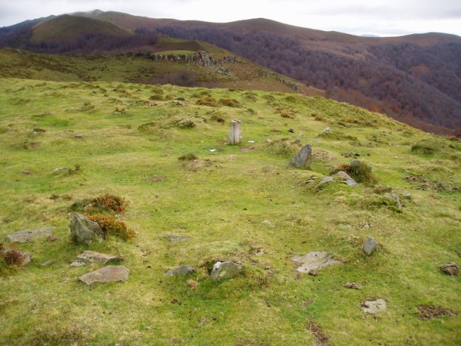 Auntzbizkarreko mairubaratzetako bat