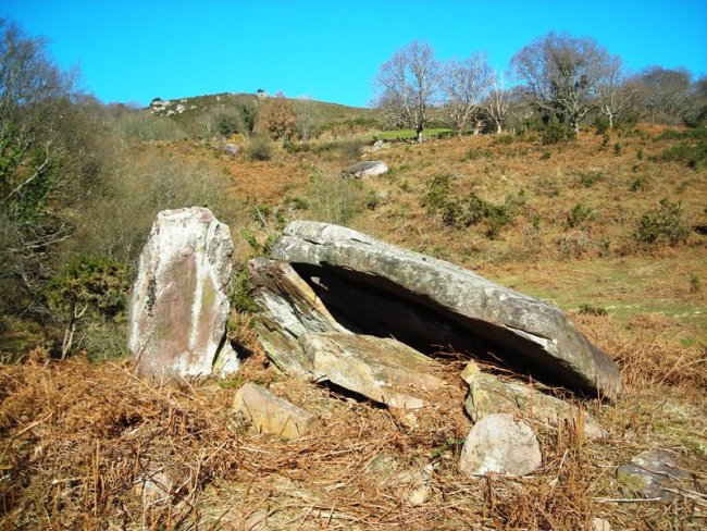 Etxartea trikuharria