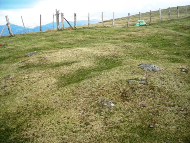 Pilotasoro   harrespila