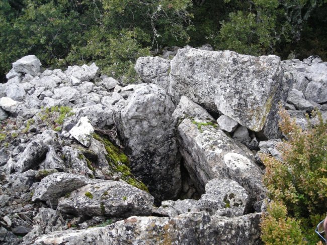 Ugarra 1 ekialde trikuharria