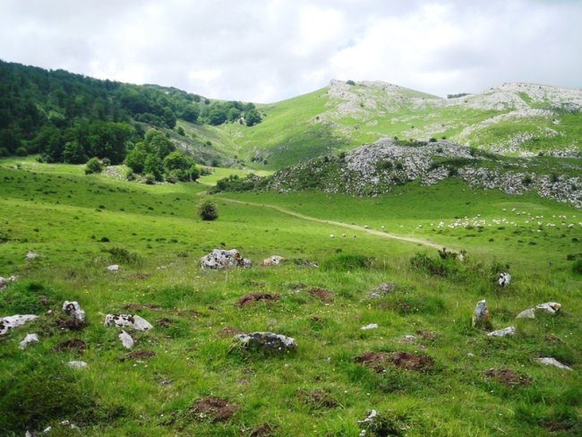 Idopilko Soroa harrespila