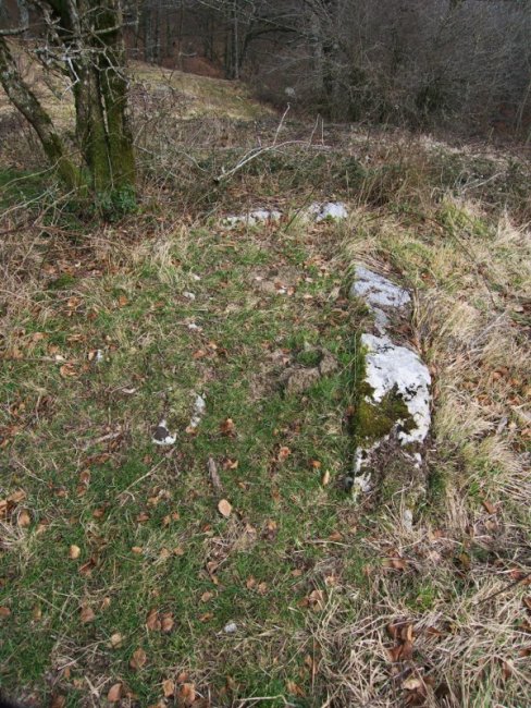 Hau da komentarioan aipatutakoa