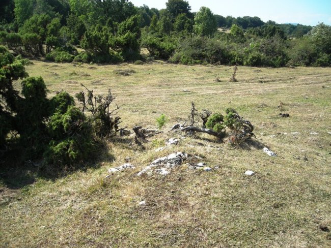 Txintxaleze 2 tumulua