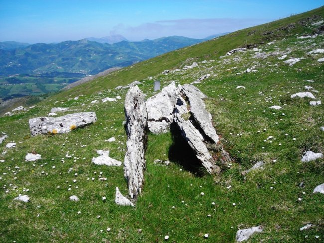 Aranzadi  trikuharria