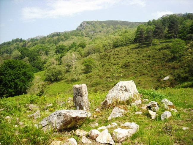 Faageko Erreka trikuharria