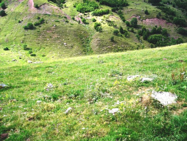 Mallo Blanco Sur harrespila