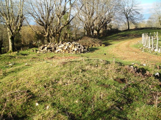 Agerretxeberriko Borda tumulua