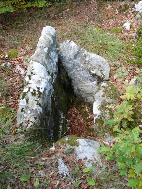 Jorabilako trikuharria