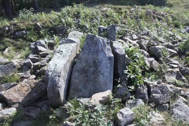 DOLMEN  VENTA  DE  ZARATE