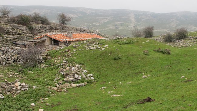 Laskardi txabola tumularra