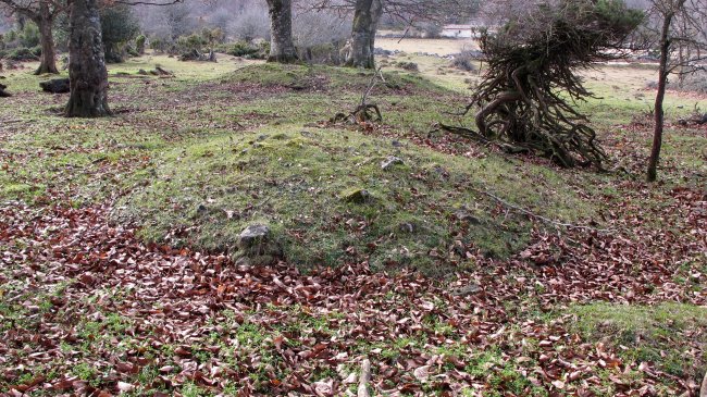 Ostalaza 3 (5-UTM-560139-4738529)