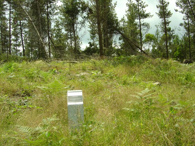 Dólmen Añabusti Julio 2009