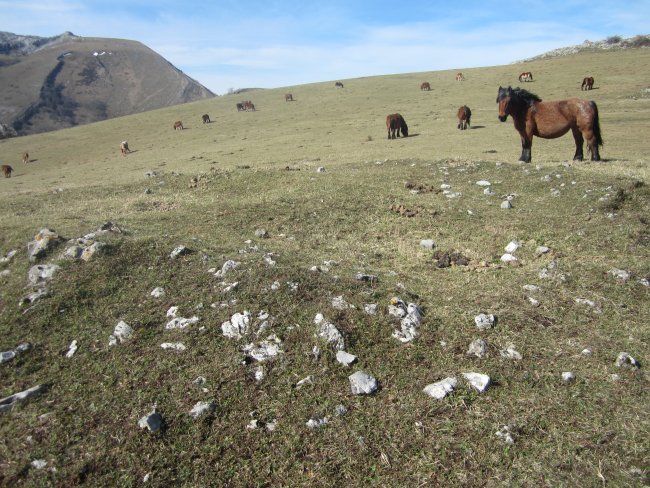 Túmulo Urtao (Febrero 2014)