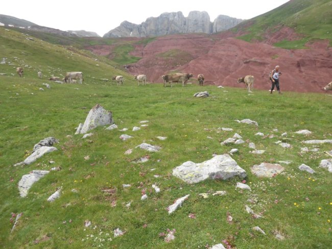 barranco barcal alto este