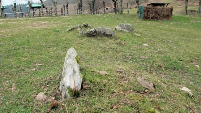 Bostorratz trikuharria, Elgorriaga