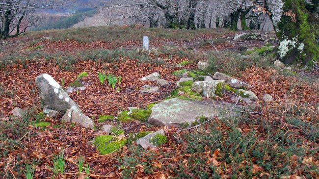 Latargi 12 trikuharria, Eratsun