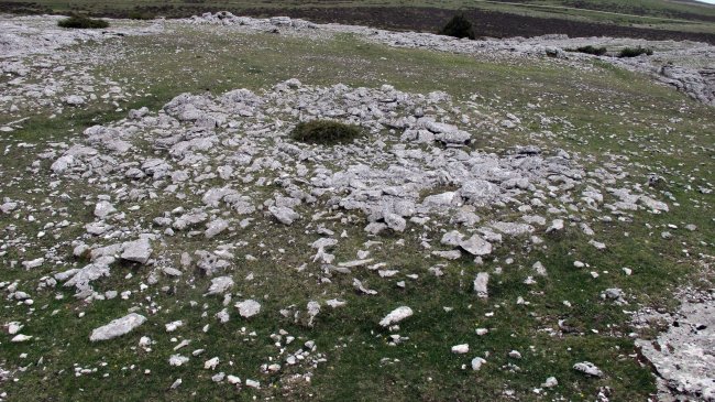 Aitz Txuri trikuharria, Andia