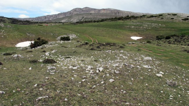 Fuente Fría trikuharria, Andia