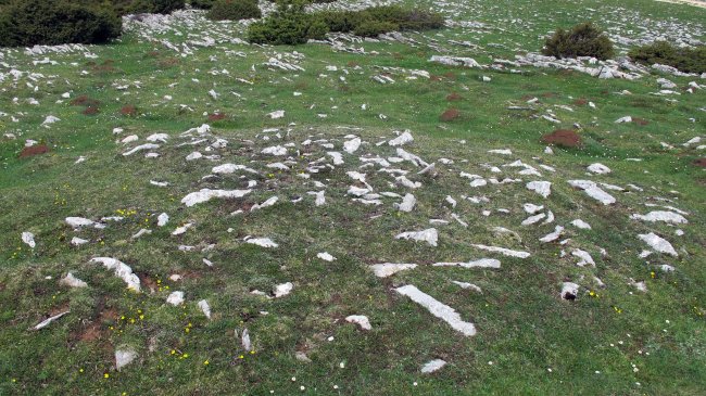 El Castillo tumulua, Andia