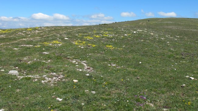 El Illarral 3 hego eraztun-tumulua, Lezaun