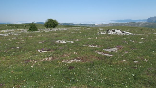 Sima de los Carneros eraztun-tumulua, Andia