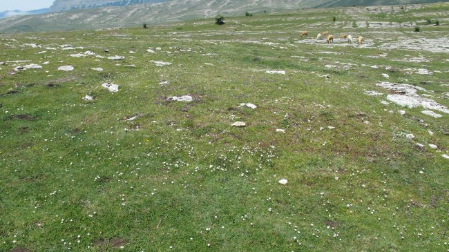 Larrenganbelako Aldapa 3 etxola hondoa, Andia