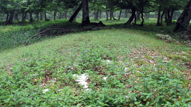 Zurloz etxola hondoa, Iturgoien