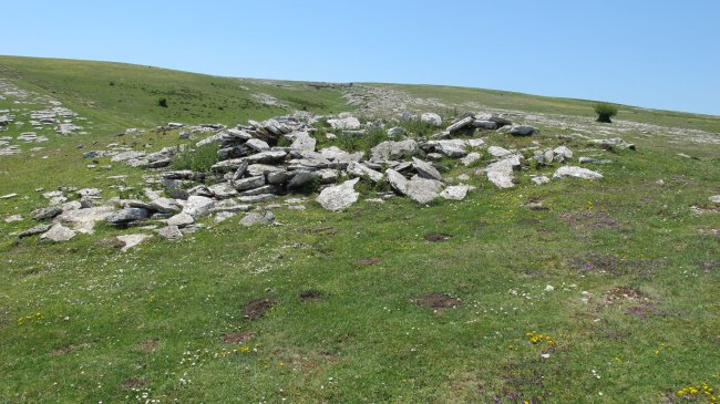 Larrenganbela 1 ipar txabola tumularra, Andia