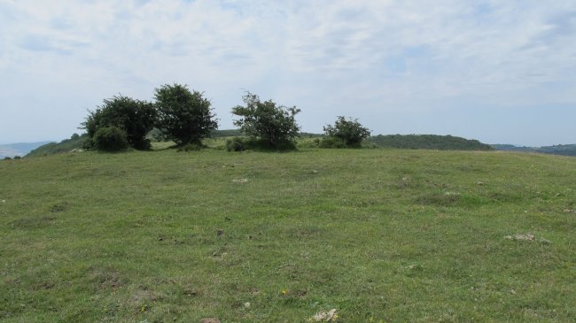El Alto eraztun-tumulua, Munarriz-Goñi