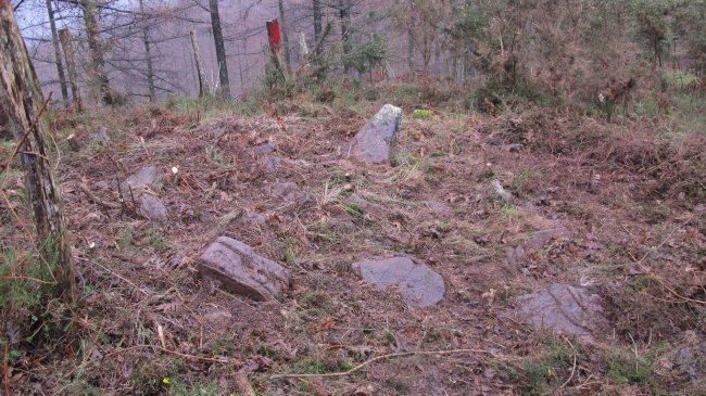 Txarrantxarri 2 hego trikuharria, Bera