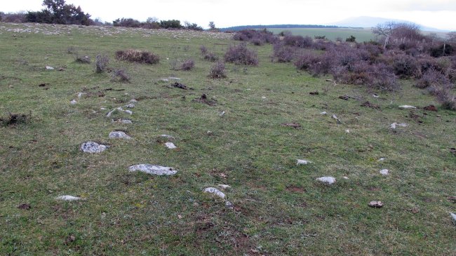 Arizdia 1 tumulua, Azantza-Goñi