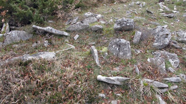 Larrola trikuharria, Azantza-Goñi