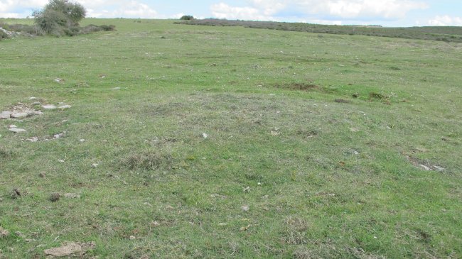 Borda del Mesón 4 tumulua, Etxauri