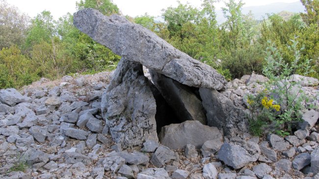 Faulo trikuharria, Boitzari-Erromantzatua