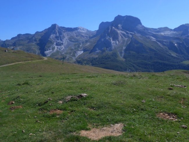 Aubisque tumulua