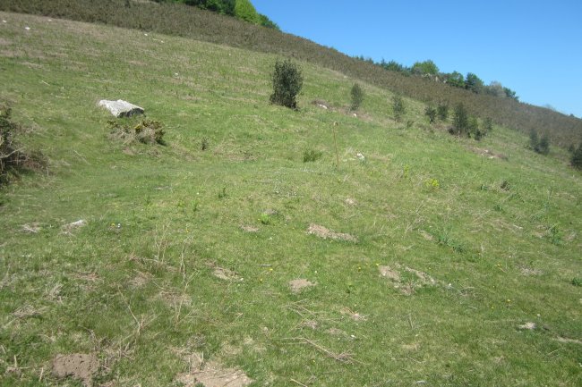 Fondo de Cabaña Faalegi  (04-2017)