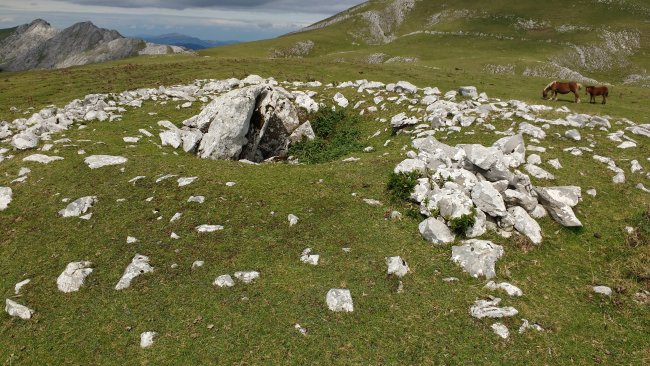 Artzanburu trikuharria 2