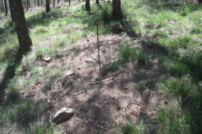 Túmulo Ariznabarreta  (04-2017)