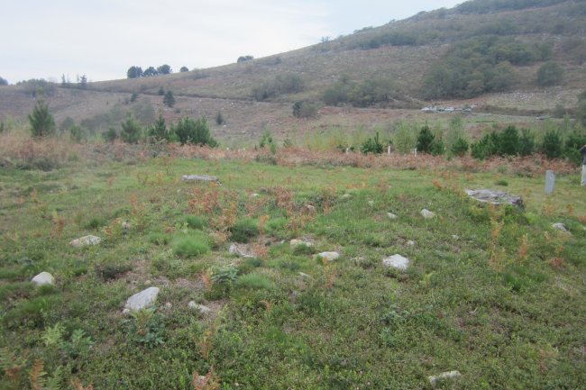 Túmulo Ipinarrieta (Noviembre 2017)