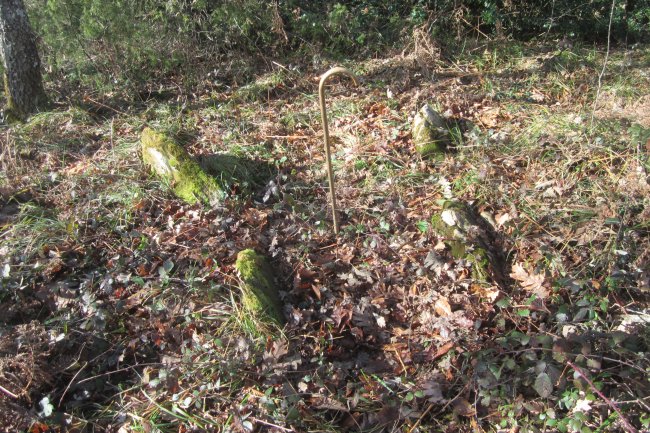 Dólmen Gorosti (Beuntza)   Enero 2018