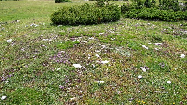 Otsaportillo tumulua, Urbasa