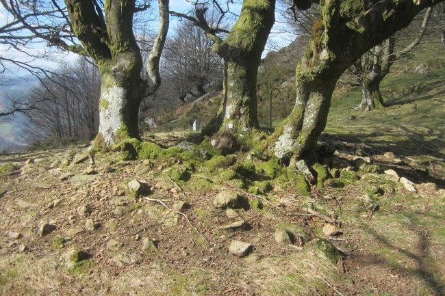 Cista Atxolin Txiki II Oeste  (Marzo 2019)