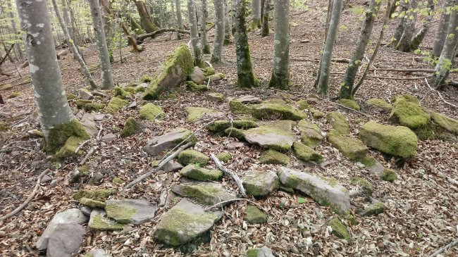 Otaltzuazpia trikuharria 2