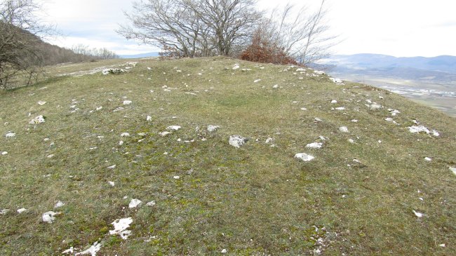 Puerto San Juan tumulua, Arraia-Maeztu