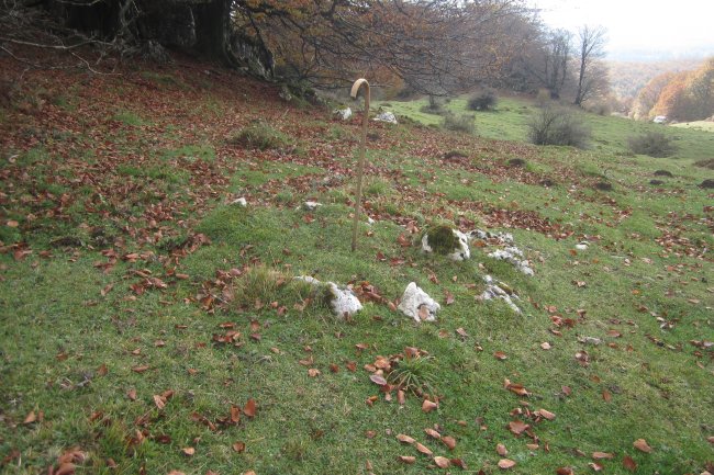 Túmulo Iturmendiko Sareak III  (Octubre 2019)