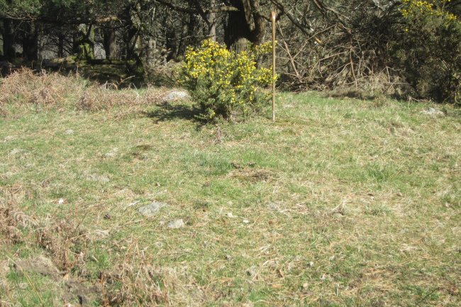 Túmulo Zurbitz (Marzo 2019)