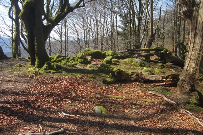 Túmulo Madariko Lepoa  (Marzo 2019)