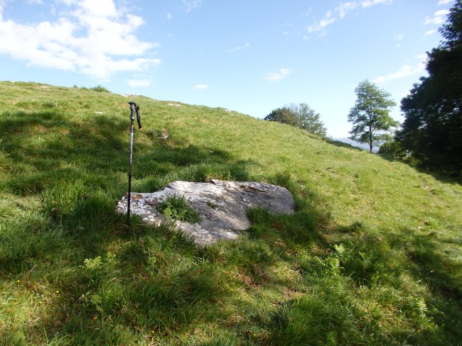 ALTZUSTABERRI II zutarri