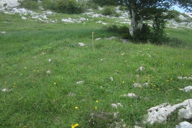 Túmulo Ametzueta  (Mayo 2020)