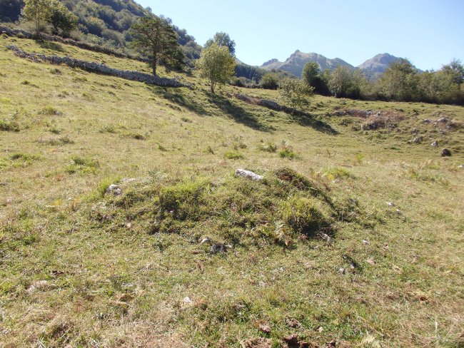 LARRONDO campo tumular